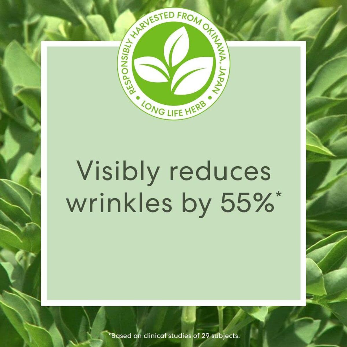 Facial Cream bareMinerals Skinlongevity 15 ml-4