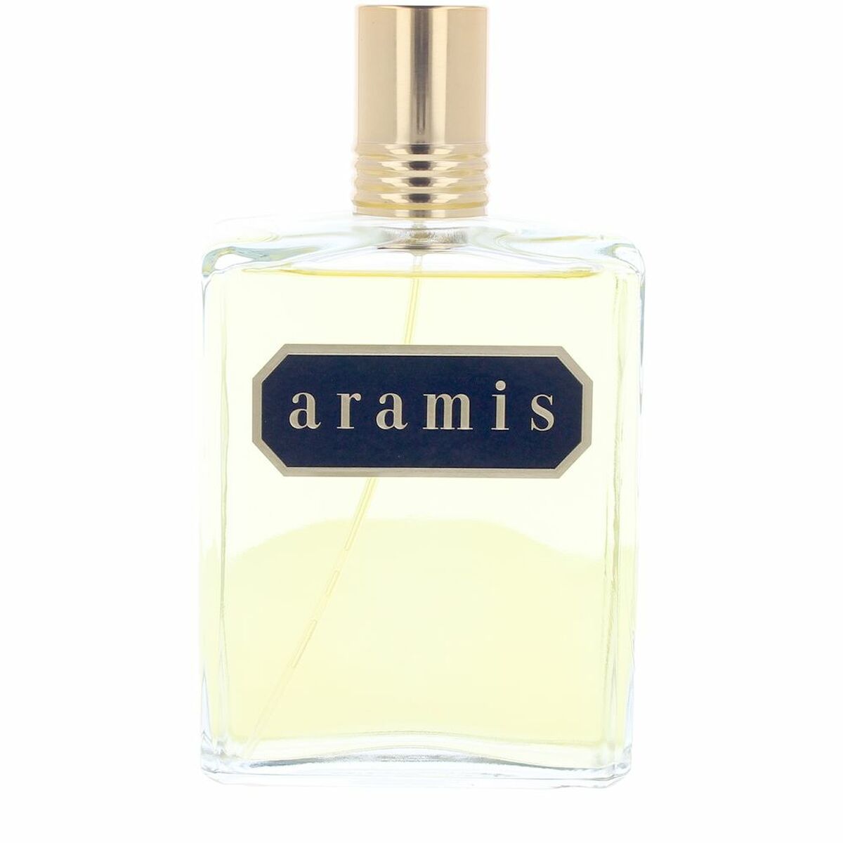 Men's Perfume Aramis ARAMIS 240 ml-0