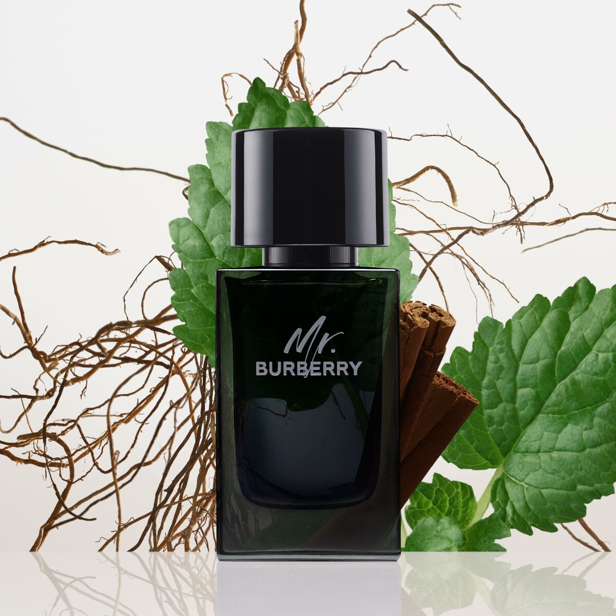 Men's Perfume Burberry Mr. Burberry 100 ml-5