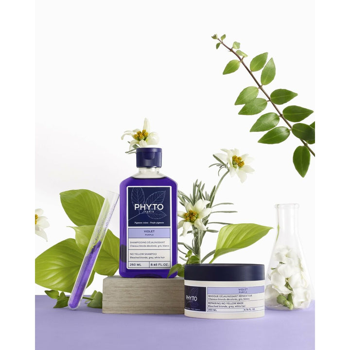 Styling Cream Phyto Paris Violet 250 ml - Cosmova