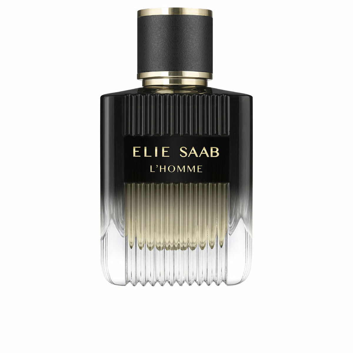 Men's Perfume Elie Saab L'HOMME EDP 100 ml-0