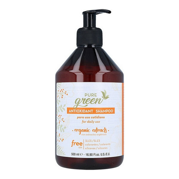 Shampoo Antioxidant Pure Green - Cosmova