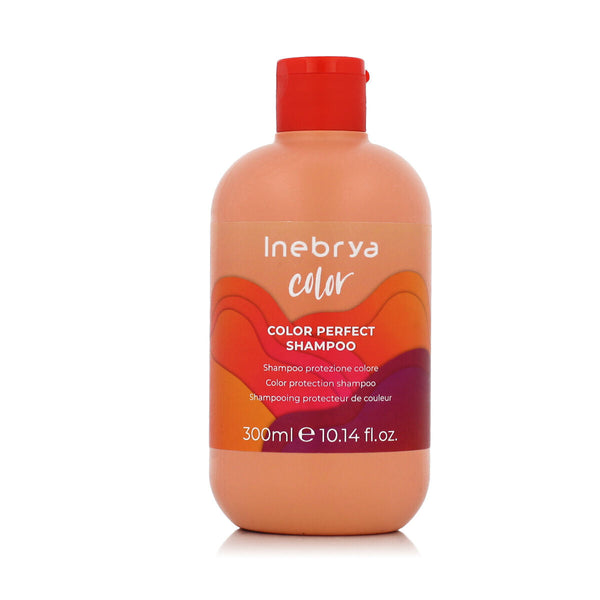 Shampoo Inebrya Ice Cream Pro-Color 300 ml-0