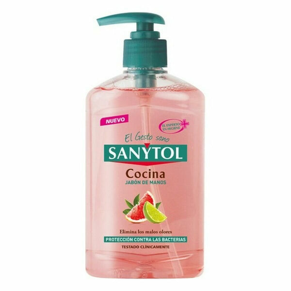 Hand Soap Dispenser Sanytol 280120 Kitchen 250 ml - Cosmova