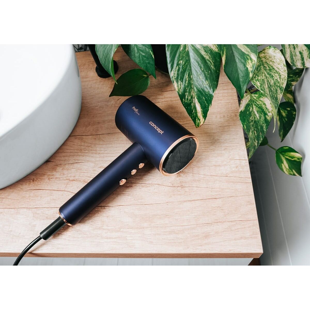 Hairdryer Concept VV8100-6