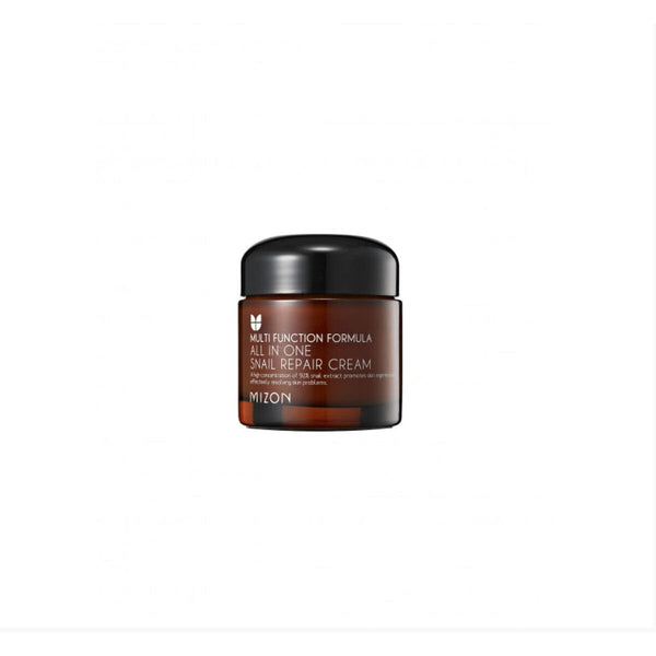 Restorative Cream Mizon All In One Moisturizing 75 ml - Cosmova