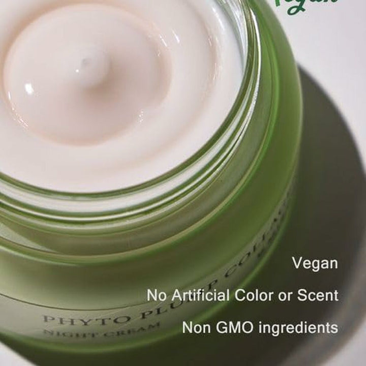 Night Cream Mizon Phyto Plump Collagen 50 ml - Cosmova