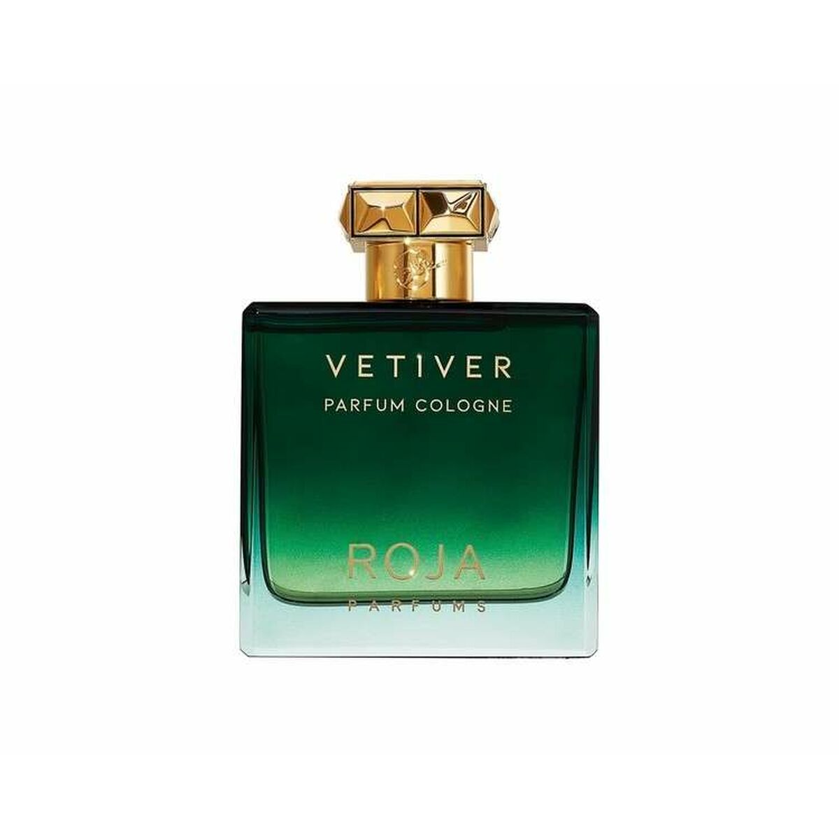 Men's Perfume Roja Parfums Vetiver EDC 100 ml-1