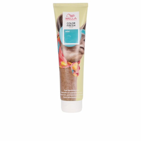 COLOR FRESH MASK Fun color mask #mint 150 ml-0