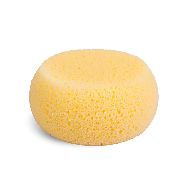 hydrophilic sponge-0