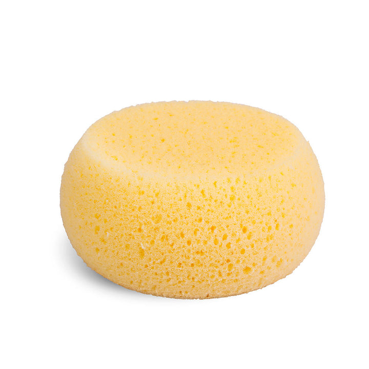 hydrophilic sponge-0